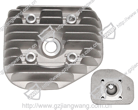 Motorcycle Engine Case Cover AD50