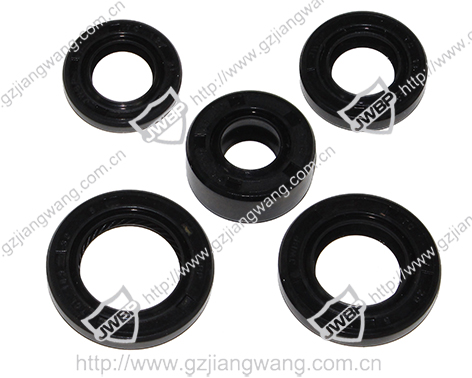 Motorcycle Seal  CG125 5PCS