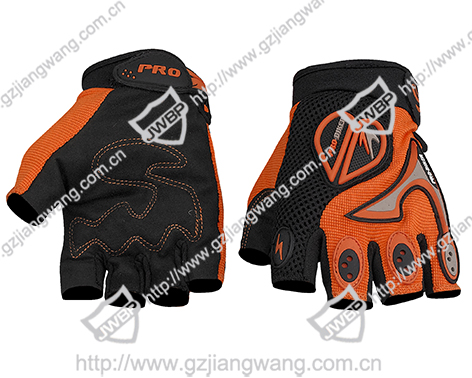 Motorcycle Glove