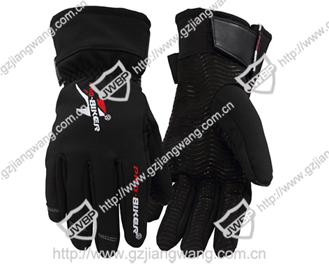 Motorcycle Glove